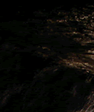 Willkommen in der Anderen Welt unter dem Harz!